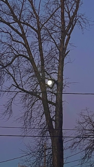 Night Sky over Neenah, Wisconsin